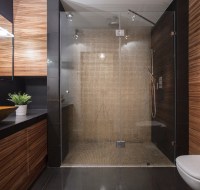 Contemporary Curbless Shower Houston